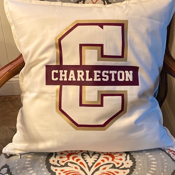 College pillows. Any school or logo. Personalized - Picture 2 of 14
